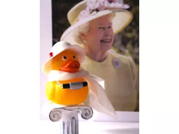 Set Komplett Lady Ascot